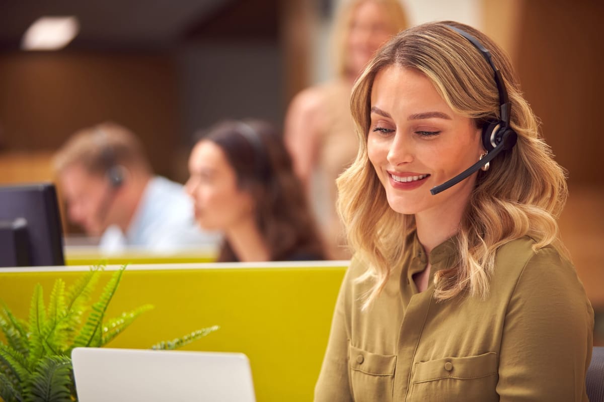 Virtual Assistant